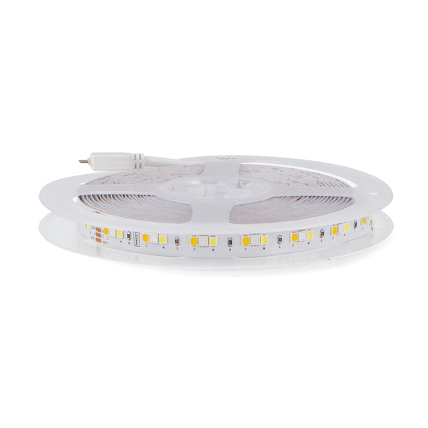 Bandă LED 24V DC Smd2835+3535 Clasic Ip20 RGB+CCT 168 LED/m - 5 metri