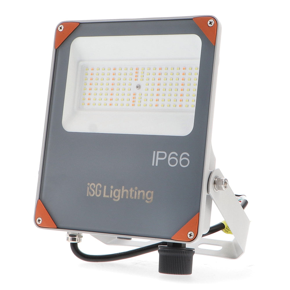 Spot LED secret de 100W