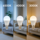 Bec LED E14 G45 7W - imagine 7