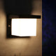 Aplică de perete LED Dakota 12W