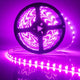 Bandă LED 12V DC SMD5050 IP20 Violet 60 LED/m - 5 metri