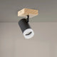 Lampă de tavan seria Black Wood 1 spot GU10