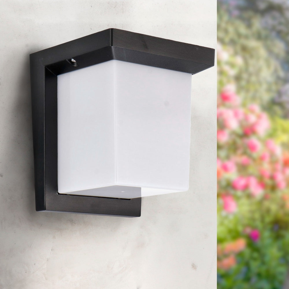 Aplica de perete led Dakota 12W