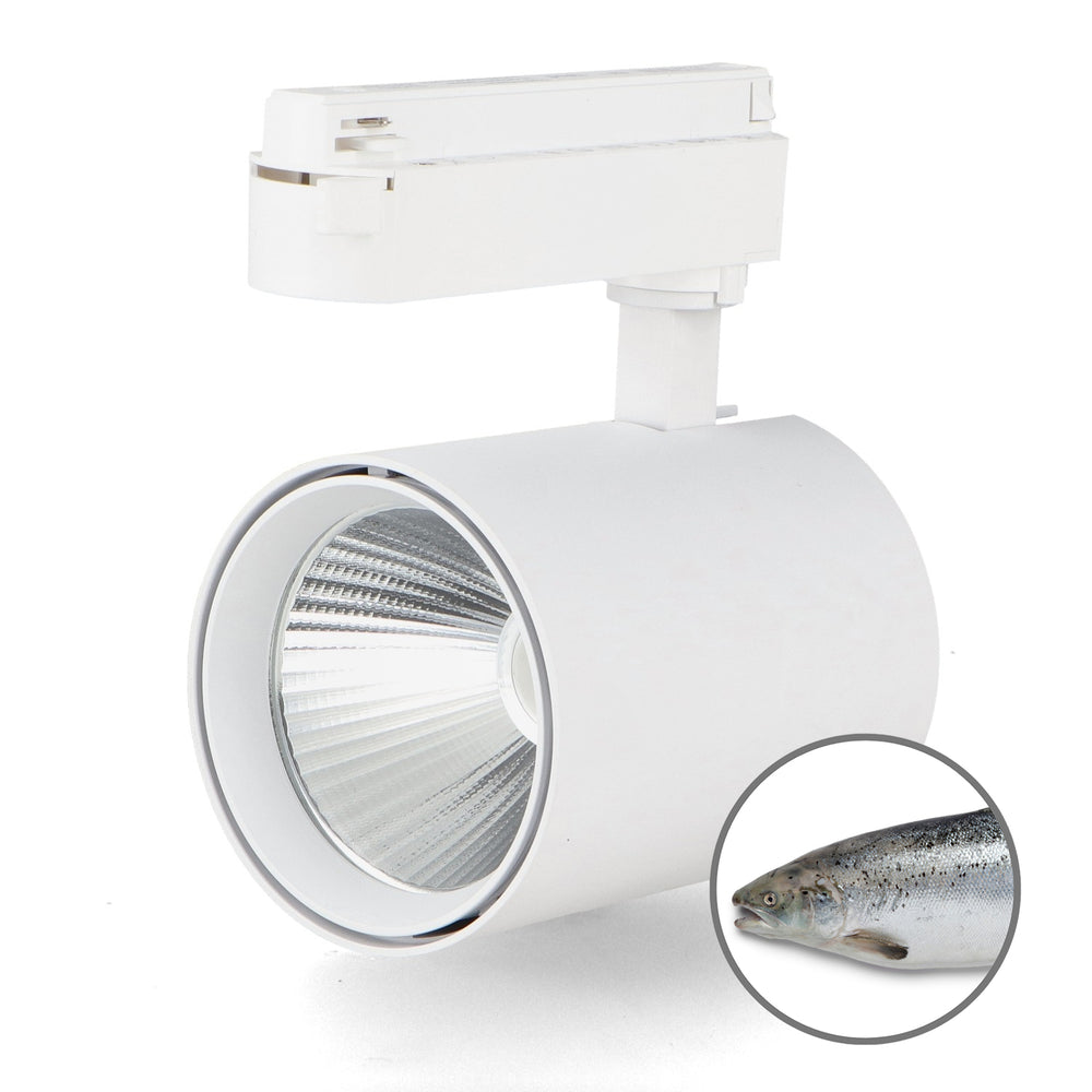 Spot cu LED pentru pescuit monofazat alb cu bandă rapidă de 30 W