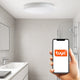 Plafoniera LED SmartHome RainBow 24W IP54 Aplicație Wifi