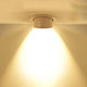 Spot cu LED-uri reglabile de 15 W cu pină albă