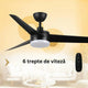 Ventilator de tavan cu LED Black Curve