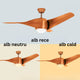 Fanton Wood LED Ventilator de tavan