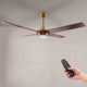 Ventilator de tavan Easymal LED