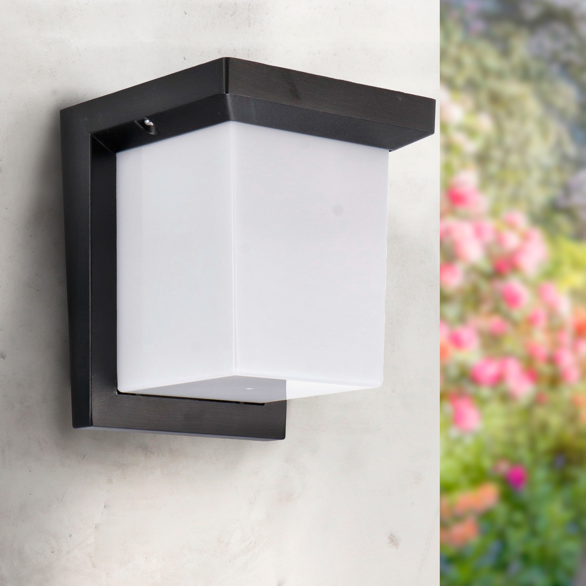 Aplica de Perete Led Dakota 12W