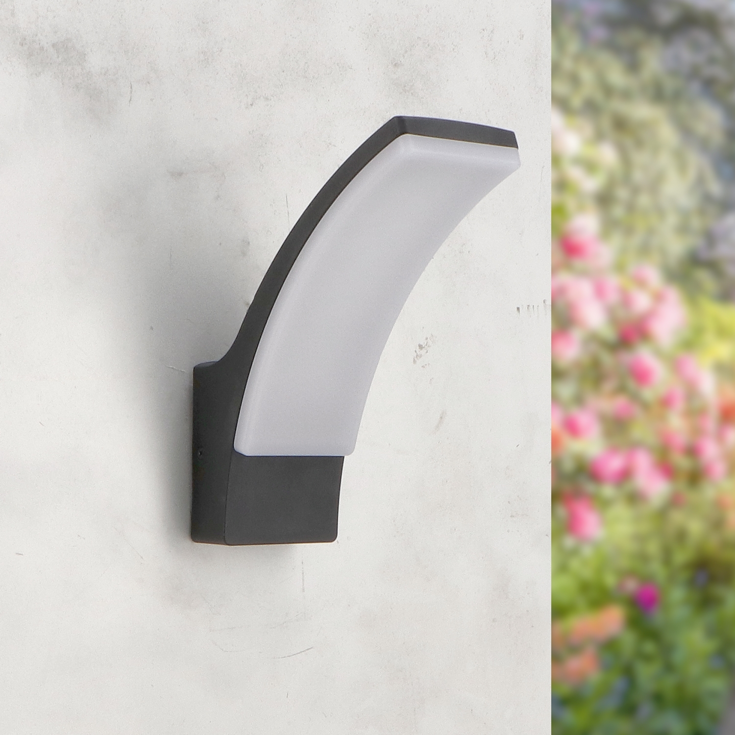 Aplica de Perete Led Winni Black 12W