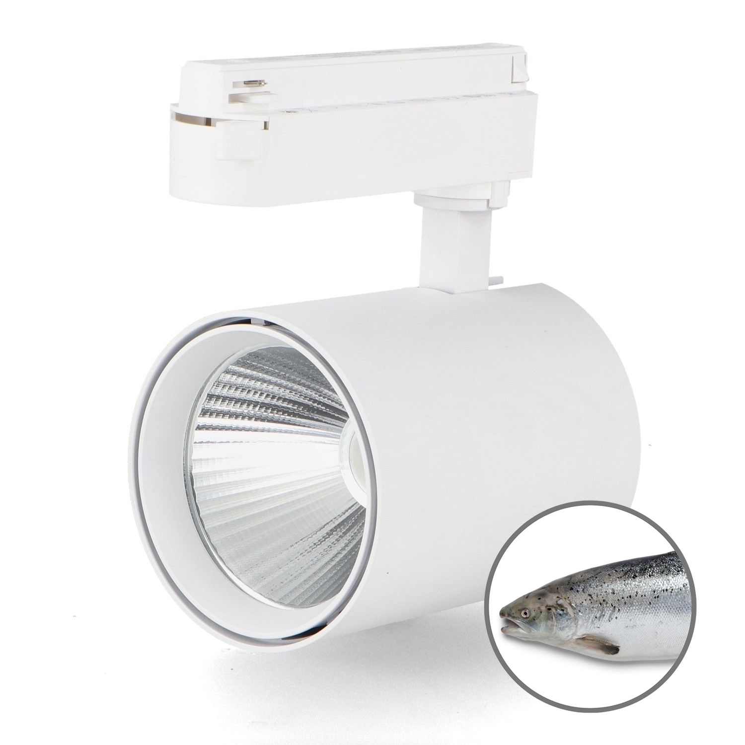 Spot Cu Led Pentru Pescuit Monofazat Alb Cu Bandă Rapidă de 30 W